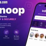 What Is Insnoop? The Digital Content Hub You Should Know